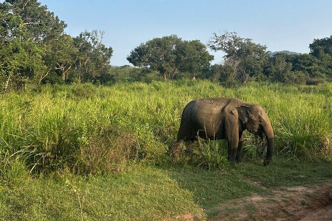 Sigiriya Dambulla Wonders Day Trip from Kandy - Budget math: what $120.43 covers and what you pay onsite