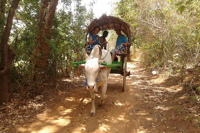 Sigiriya Day Tour - Dambulla Cave Temple - Who this tour suits best (and who might want a different plan)