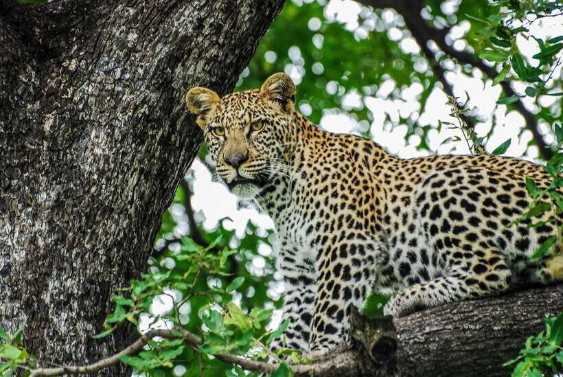 Sri Lanka: 7-Day Off-The-Beaten Path Private Tour - Key Things I’d Prioritize on This Tour