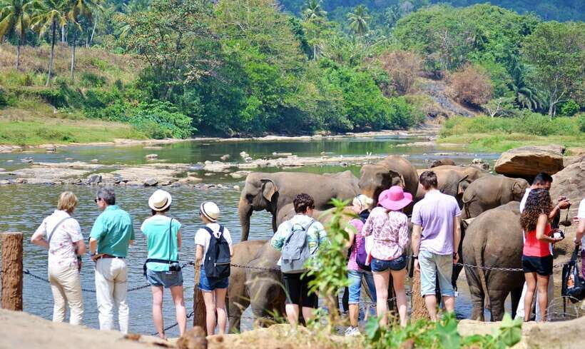 Sri Lanka: 7-Day Off-The-Beaten Path Private Tour - Yala National Park: Off-Road Jeep Time for Wildlife That Doesn’t Sit Still