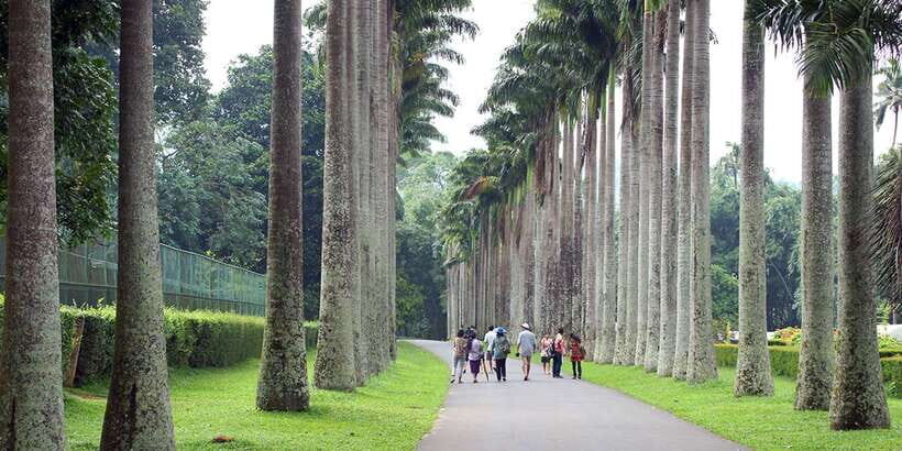 Three Temples Loop In Kandy Day Tour By Tuk Tuk - The 8:30am start and how to pace a long day