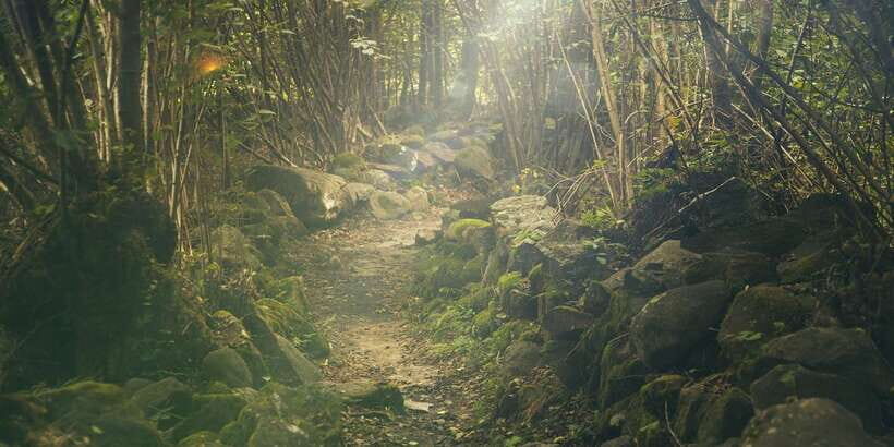 Thrills of Kitulgala - Who should book Thrills of Kitulgala, and who shouldn’t