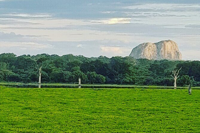 Tours and Transportation in Sri Lanka - How the Custom Day in Kandy Usually Flows