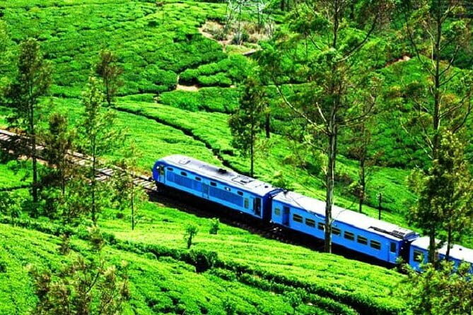 Train tickets from Kandy to Nuwara Eliya or Hatton Station - Price and seat value: what $14 covers (and what it doesn’t)