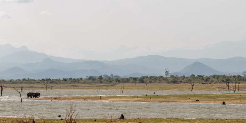 Udawalawe National Park Private Full-Day Safari - Key highlights you’ll feel during the safari