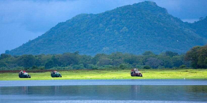 Udawalawe National Park Private Full-Day Safari - Udawalawe’s habitats: why you see more than elephants