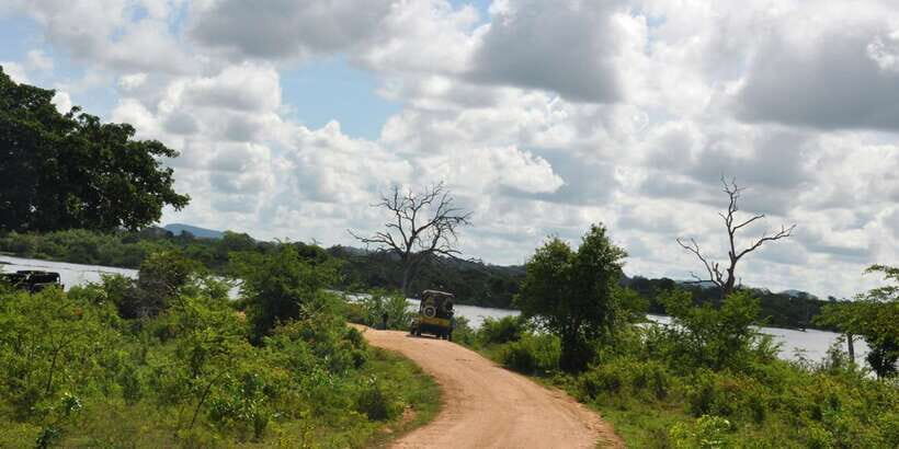 Udawalawe National Park Private Full-Day Safari - Price and value: $50 per person for a private wildlife day