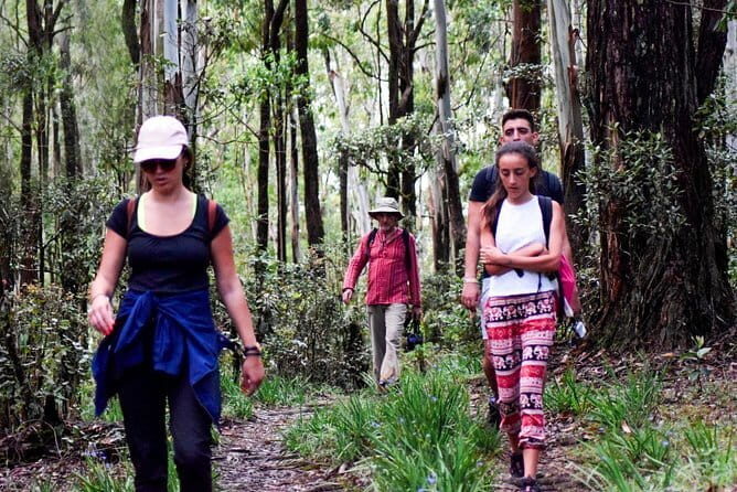 Wasgamuwa National Park Safari from Kandy - Wasgamuwa Wildlife: What to Expect Beyond Elephants
