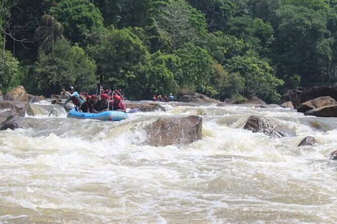 Wasgamuwa National Park Safari from Kandy - Tips to Make Your Safari Day Smoother