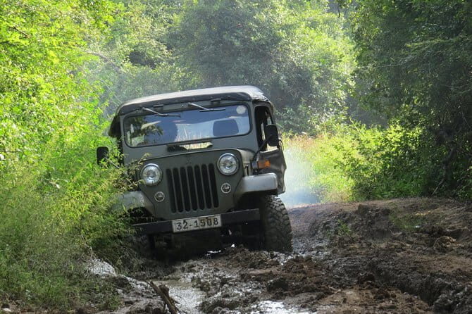 Wasgamuwa National Park Safari from Kandy - The Private Jeep Safari: What You’re Paying For